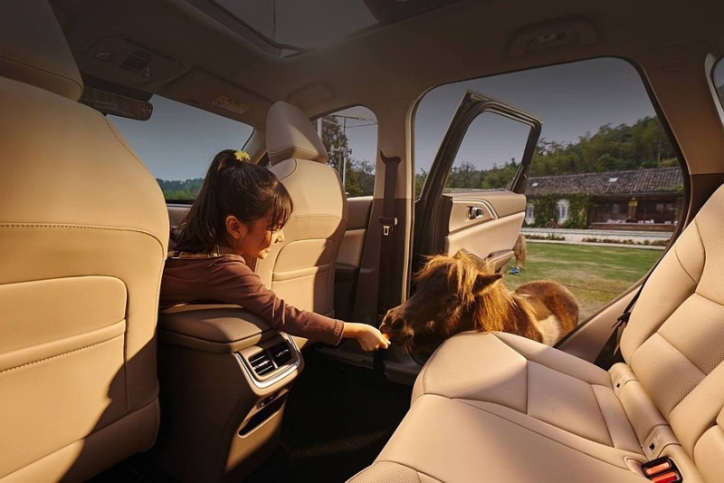 Бензиновый Haval H6L выходит на рынок: намного дешевле родственного Xiaolong Max