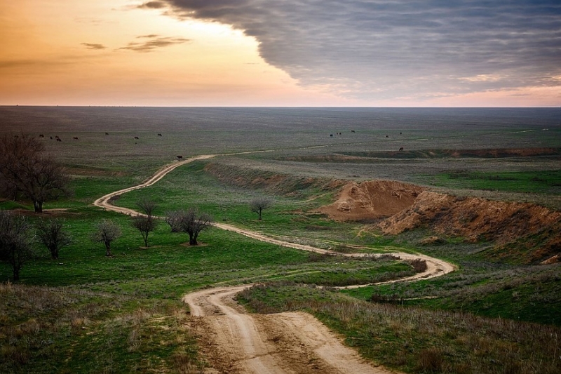 Навигационные ловушки и скоростной пролог: в Калмыкии стартовала баха «Великая степь»